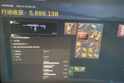 三角洲行动ZTE辅助